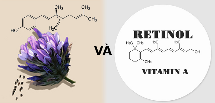 Có nên chọn Bakuchiol thay thế Retinol 2